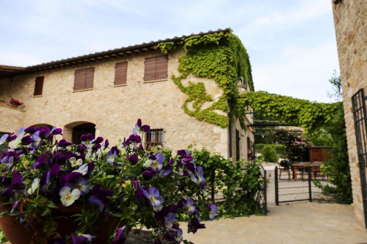 Agriturismo Poggio Del Bolognino Lugnano in Teverina Экстерьер фото